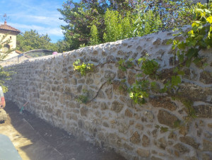 Photo de galerie - Réfection mur en pierre