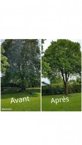 Photo de galerie - Jardinier