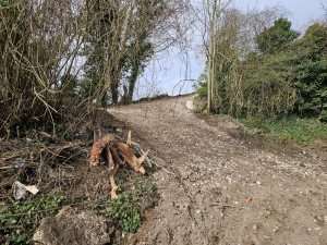Photo de galerie - Aménagement de talus pour accès à un terrain de loisir