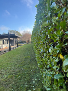 Photo de galerie - Jardinier