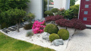 Photo de galerie - Taille de haies et d'arbustes