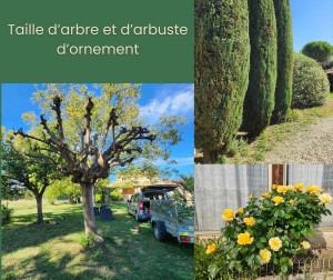 Photo de galerie - Jardinier