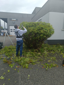 Photo de galerie - Je vous présente une photo de taille de arbustes 