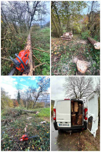 Photo de galerie - Elagage et coupe d'arbres
