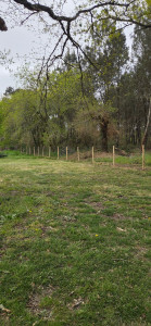 Photo de galerie - Creation barrière apres nettoyage 