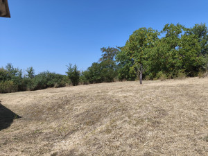 Photo de galerie - Débroussaillage sur herbe haute, et ensuite j' ai passer un coup de tondeuse 
