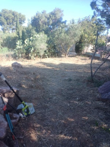 Photo de galerie - Tonte de pelouse - Débroussaillage