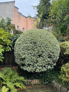 Photo de galerie - Taille