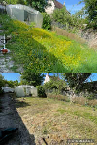 Photo de galerie - Lagrene entretien débroussaillage, temps de pelouse, finition, Rotofil