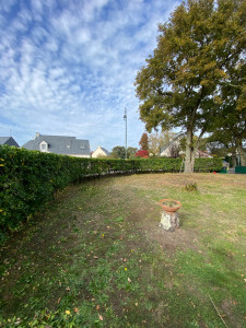 Photo de galerie - Taille de haie 80m avec évacuation des déchets verts.