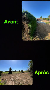 Photo de galerie - Arrachage complet d’une haie de tuya 