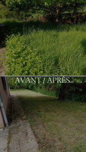 Photo de galerie - Tonte de pelouse - Débroussaillage