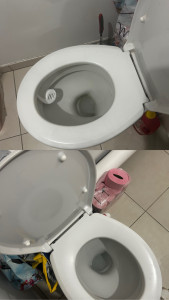Photo de galerie - Nettoyage wc (avant en haut, après en bas). 