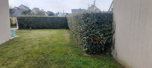 Photo de galerie - Taille de haies et d'arbustes