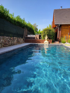 Photo de galerie - Entretien piscine