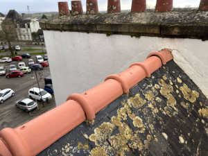 Photo de galerie - Rénovation du faîtage