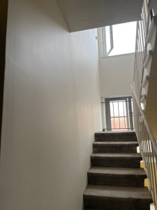 Photo de galerie - Peinture, escalier et mur