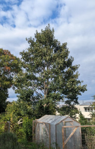 Photo de galerie - Paysagiste - Aménagement du jardin