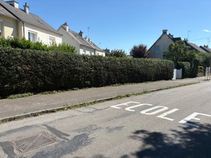 Photo de galerie - Taille de haies et d'arbustes