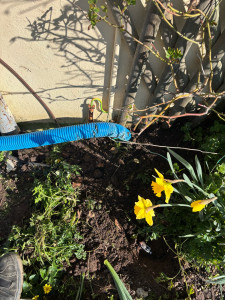 Photo de galerie - Mise à la terre