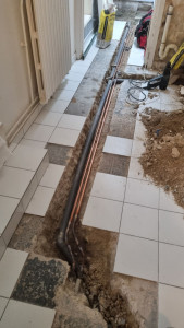 Photo de galerie - Problème de conduite 