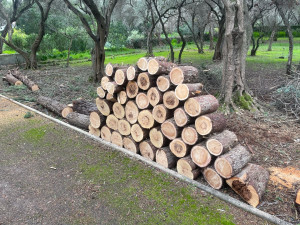 Photo de galerie - Près à brûler ? 