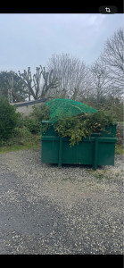 Photo de galerie - Gros élagage sur granville 