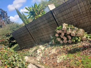 Photo de galerie - Détaillage d'un arbre