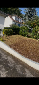 Photo de galerie - Tonte de pelouse - Débroussaillage