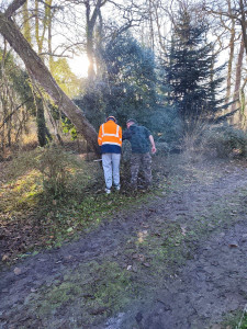 Photo de galerie - .