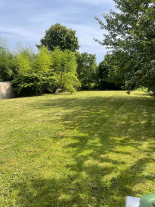 Photo de galerie - Tonte pelouse 