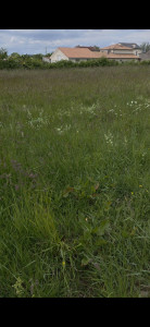 Photo de galerie - Jardinier