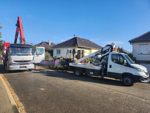 Photo de galerie - Pour tous vos travaux. d'élagage d'arbre abattage d'arbres à risque taillage débroussaillage n'hésitez pas à nous contacter travaux réalisés avec nacelle en toute sécurité. devis et déplacement gratuit