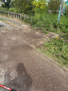 Photo de galerie - Taille de haies et d'arbustes