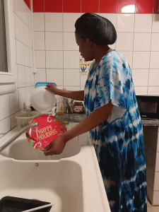 Photo de galerie - Je fais le ménage, l'entretien...