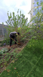 Photo de galerie - . 