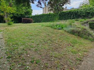 Photo de galerie - Débroussailleuse et tondeuse etc..