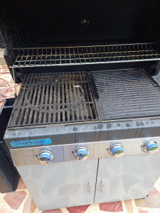 Photo de galerie - Entretien piscine