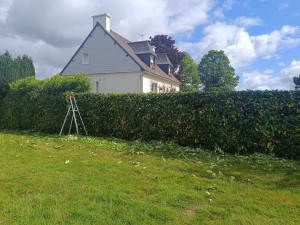 Photo de galerie - Taille de haie 