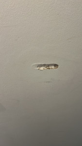 Photo de galerie - Porte toilette