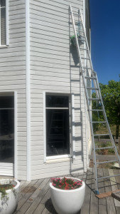 Photo de galerie - Peinture - Tapisserie