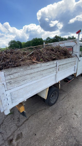 Photo de galerie - Évacuation de tout type de déchets