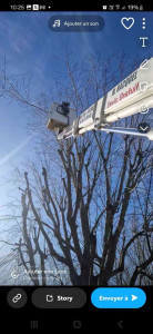 Photo de galerie - Intervention avec nacelles 