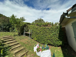 Photo de galerie - Taille de haie 