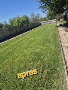 Photo de galerie - Tonte de pelouse - Débroussaillage