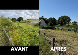 Photo de galerie - Débroussaillage d'une parcelle