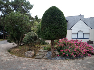 Photo de galerie - Entretien Jardin piscine