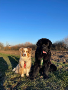 Photo de galerie - Promenade 
