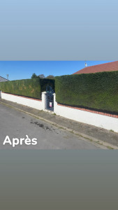 Photo de galerie - Taille de la haie complète 
