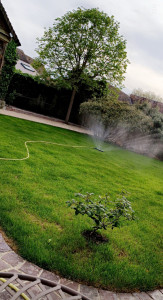 Photo de galerie - La tonte consiste à couper régulièrement les brins d'herbe pour maintenir une hauteur uniforme et favoriser la densité de la pelouse. Le regazonnage est une opération qui vise à rénover ou à renforcer la pelouse